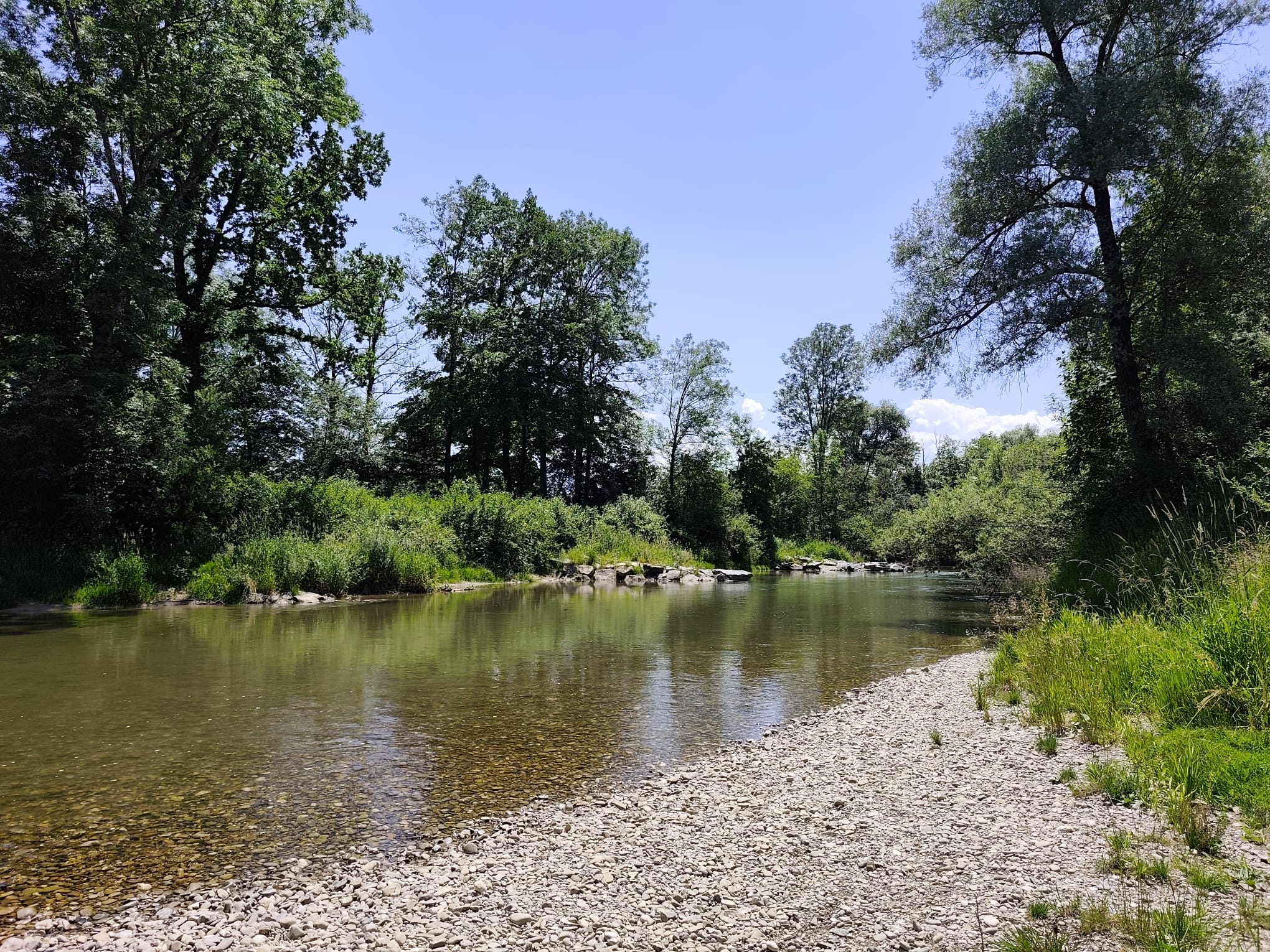 Fluss in der Natur, Umgebung des Bewusstseinskreises